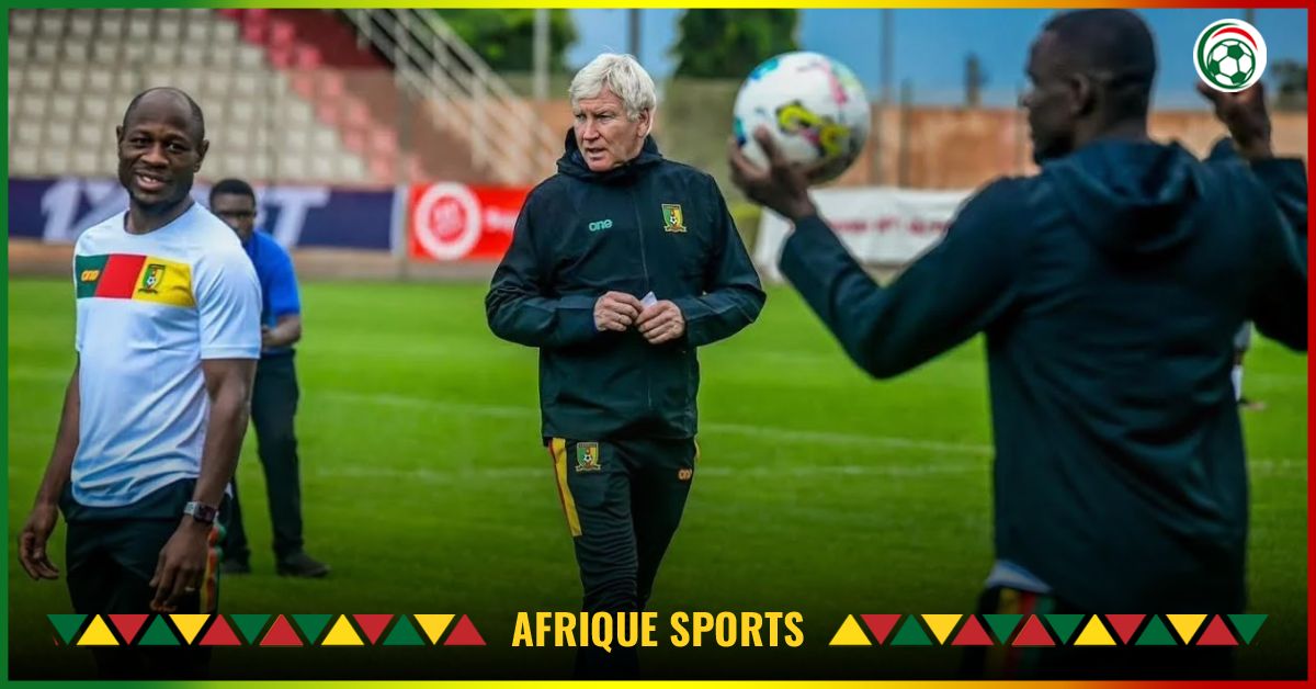 Cameroun : Marc Brys se lâche sur les Lions Indomptables à 48h du match contre le Cap-Vert