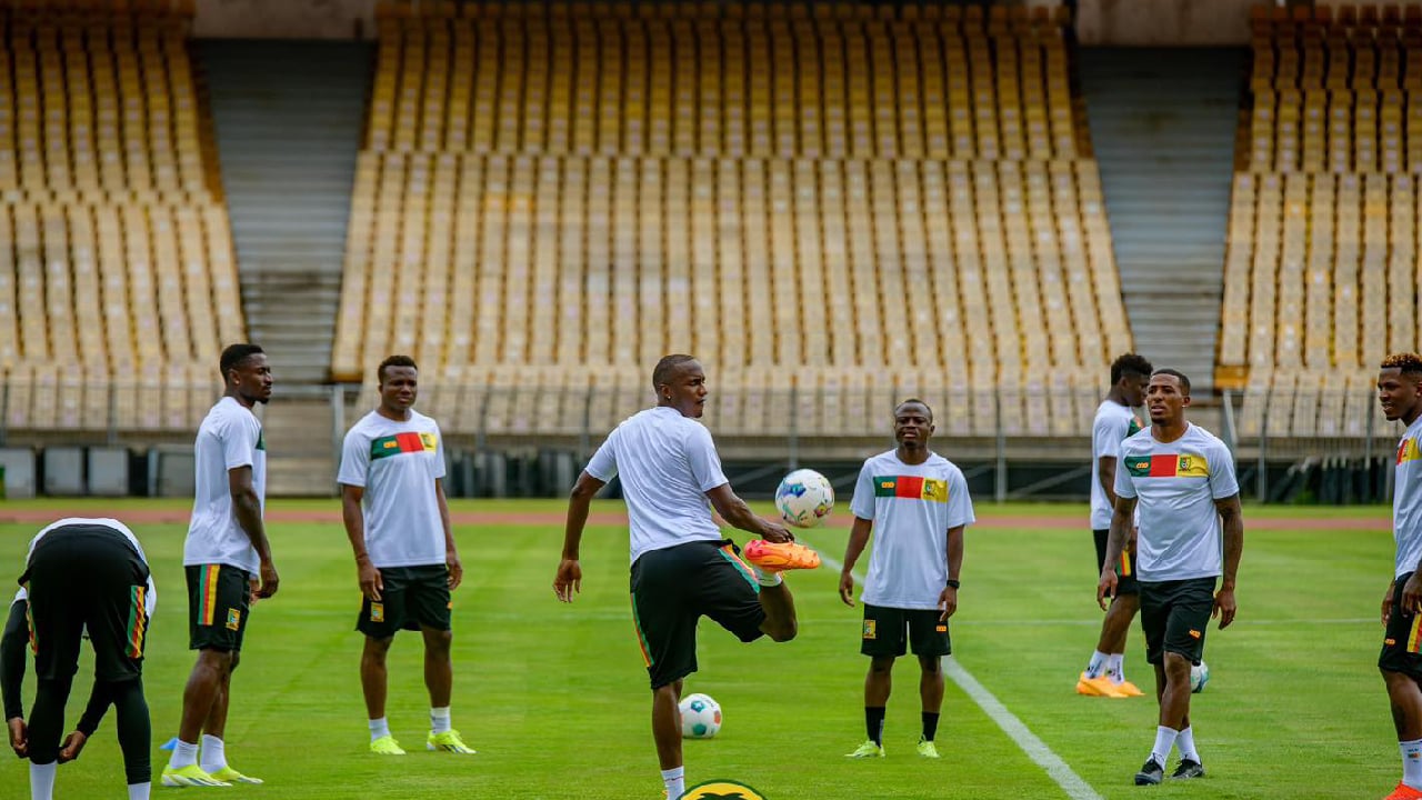 Dernière minute : Les Lions Indomptables et Marc Brys boycottent encore la FECAFOOT