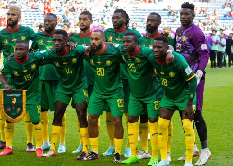 Marc Brys dévoile sa liste pour les matchs contre la Namibie et le Zimbabwe