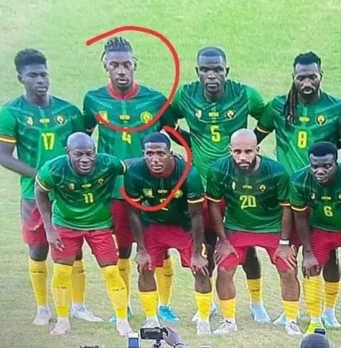 Lions Indomptables 