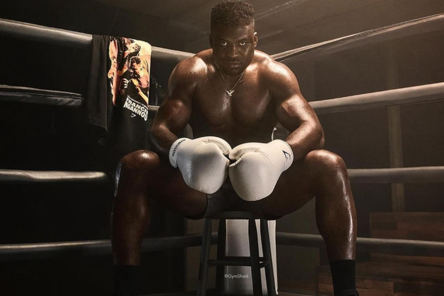  une bonne nouvelle pour Francis Ngannou 