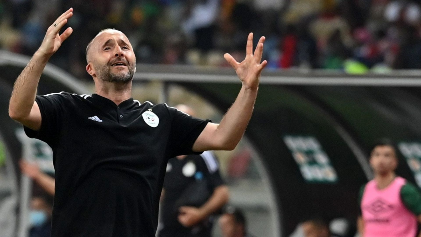  Djamel Belmadi en deuil ! 